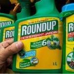 EPA sued over reapproval of key Roundup chemical