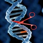 UK: Public consultation on de-regulating gene editing launched