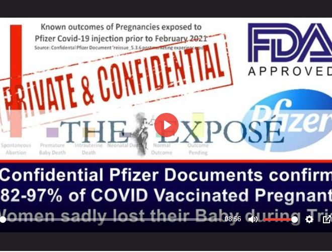 CONFIDENTIAL PFIZER DOCS CONFIRM 82-97% OF COVID VACCINATED PREGNANT WOMEN SADLY LOST THEIR BABY