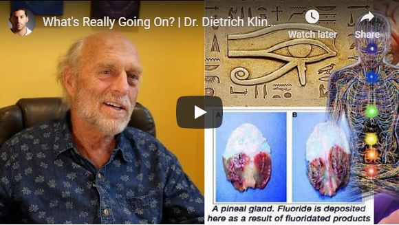 What’s Really Going On? | Dr. Dietrich Klinghardt