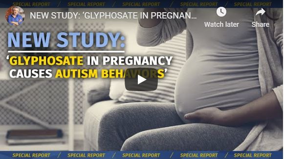 NEW STUDY: ‘GLYPHOSATE IN PREGNANCY CAUSES AUTISM BEHAVIORS’