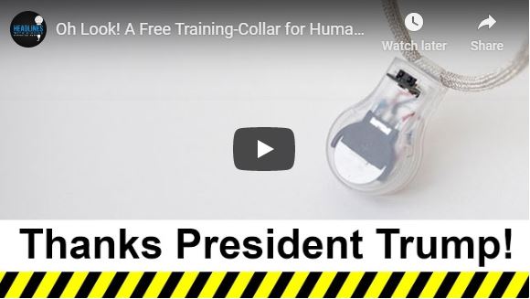 Oh Look! A Free Training-Collar for Humans!  (Not remote controlled yet)