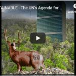 UNSUSTAINABLE - The (((UN's))) Agenda for World Domination (Full Movie)