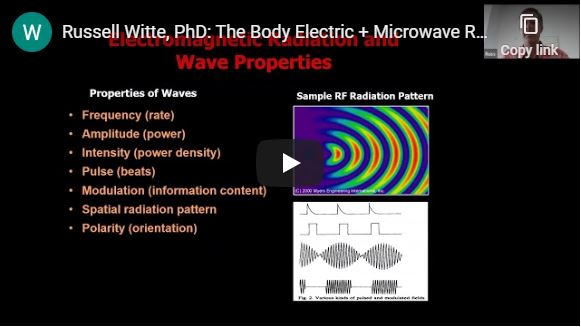 Russell Witte, PhD: The Body Electric + Microwave Radiation, April 24, 2020