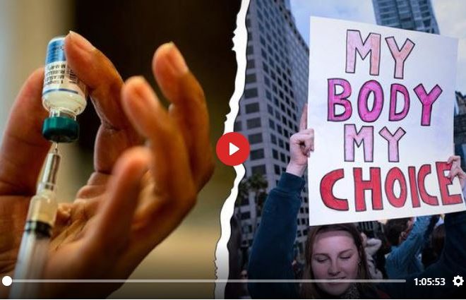 YOUR BODY, THEIR CHOICE BY CORBETT REPORT