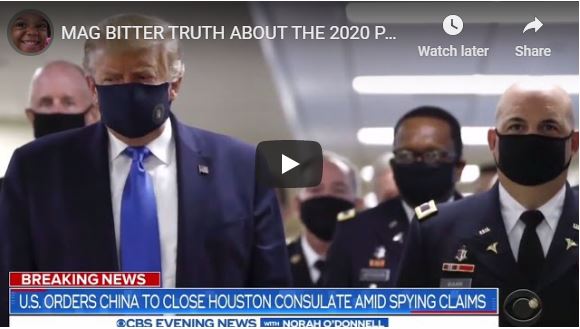 MAG BITTER TRUTH ABOUT THE 2020 PANDEMIC EXPOSED