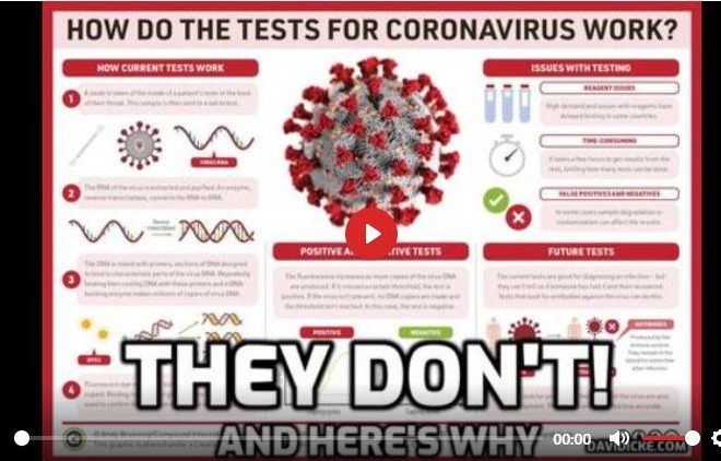 BIG STORY – PLEASE SHARE: ‘VIRUS’ TEST REVELATIONS WITH DAVID ICKE AND ANDREW KAUFMAN