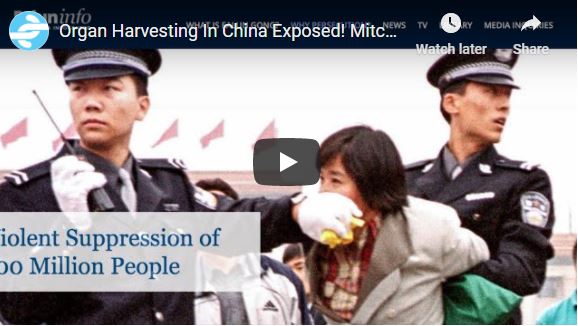 Organ Harvesting In China Exposed! Mitchell Gerber on The Vinny Eastwood Show