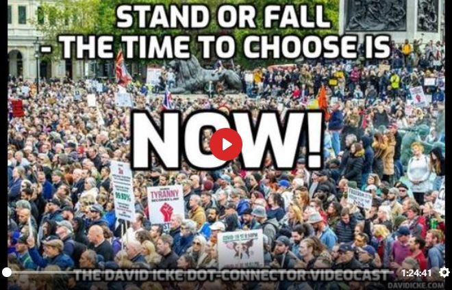 STAND OR FALL – THE TIME TO CHOOSE IS NOW – DAVID ICKE DOT-CONNECTOR VIDEOCAST