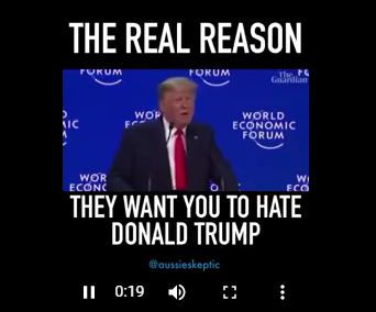 The Real reason “They” want you to hate Trump