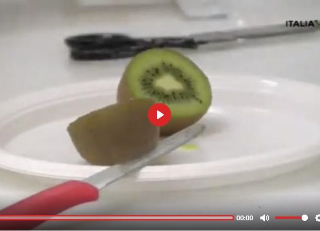 ITS NOT JUST THE PCR TEST THAT PRODUCES FALSE POSITIVES: KIWI FRUIT TESTS POSITIVE FOR COVID – SUBTITLES