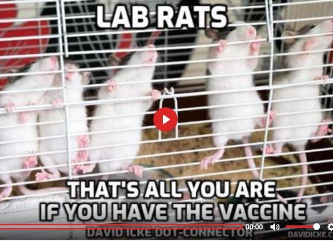LAB RATS – THAT’S ALL YOU ARE IF YOU HAVE THE VACCINE – DAVID ICKE DOT-CONNECTOR VIDEOCAST