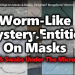 Microscopic black “worms” found in masks and swabs all around the world
