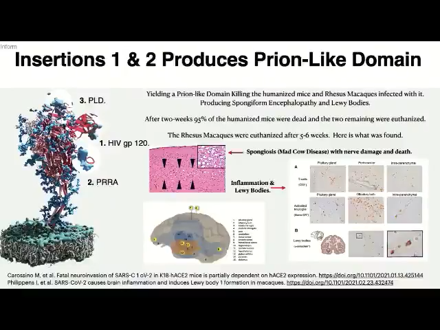 Spike Protein crossing the Blood-Brain Barrier = Mad Cow Disease. If there’s one video you watch and share today, this should be it.