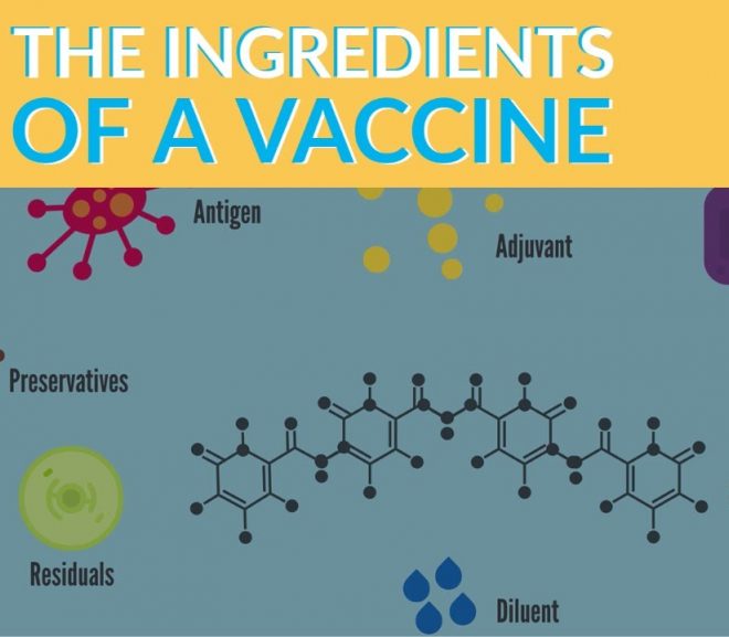 This should end ALL Vaccines. You CANNOT make an educated decision without being educated. Vaxingred-660x577