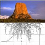 A huge and startling discovery has been made at the Devils Tower in Wyoming.