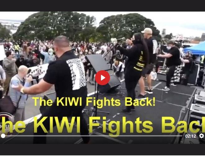THE KIWIS FIGHT BACK!