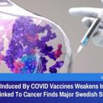Spike Protein Induced By COVID Vaccines Inhibits DNA Repair & Is Linked To Cancer Finds Major Swedish Study