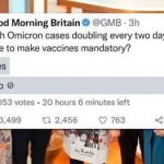 TV Show Mysteriously Deletes Poll After Vast Majority Oppose Mandatory Vaccination