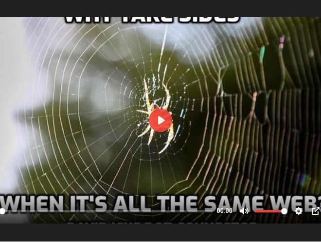 WHY TAKE SIDES, WHEN IT’S ALL THE SAME WEB? – DAVID ICKE DOT-CONNECTOR VIDEOCAST