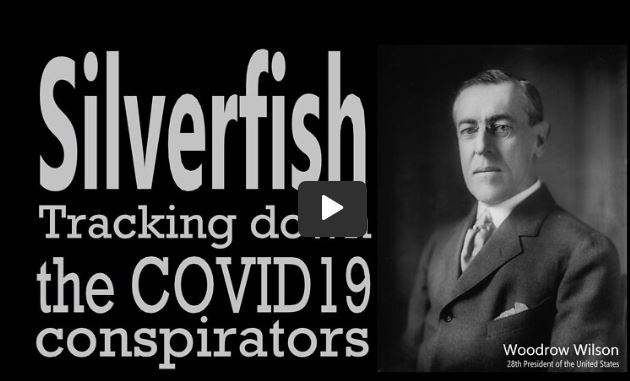 Silverfish: Tracking Down The COVID19 Conspirators