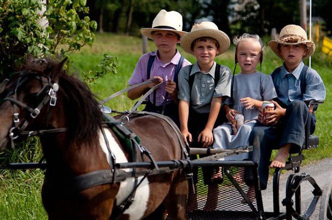 Zero Amish Children Diagnosed with Cancer, Diabetes or Autism