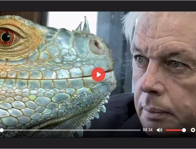 DAVID ICKE IS RIGHT ABOUT REPTILIAN CONTROL OVER EARTH