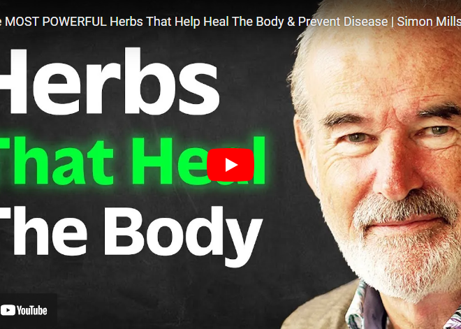 The MOST POWERFUL Herbs That Help Heal The Body & Prevent Disease | Simon Mills